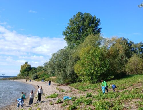 RhineCleanUp am 13. Sept. 2025  Wir waren dabei!